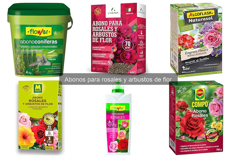 ¿Qué abono usar para rosales? Mejores opciones y beneficios