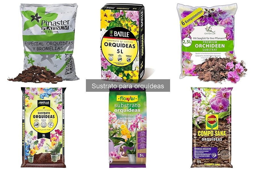 ¿Qué es el sustrato para orquídeas? Guía completa