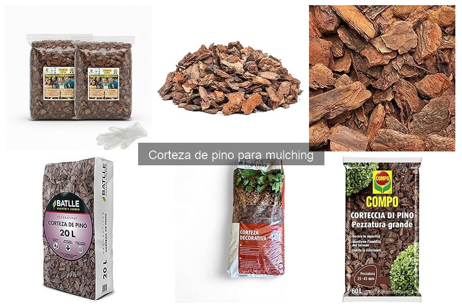 ¿Qué es la corteza de pino para mulching? Usos y propiedades