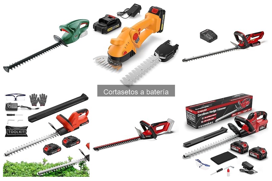 ¿Qué es un cortasetos a batería? Características y ventajas