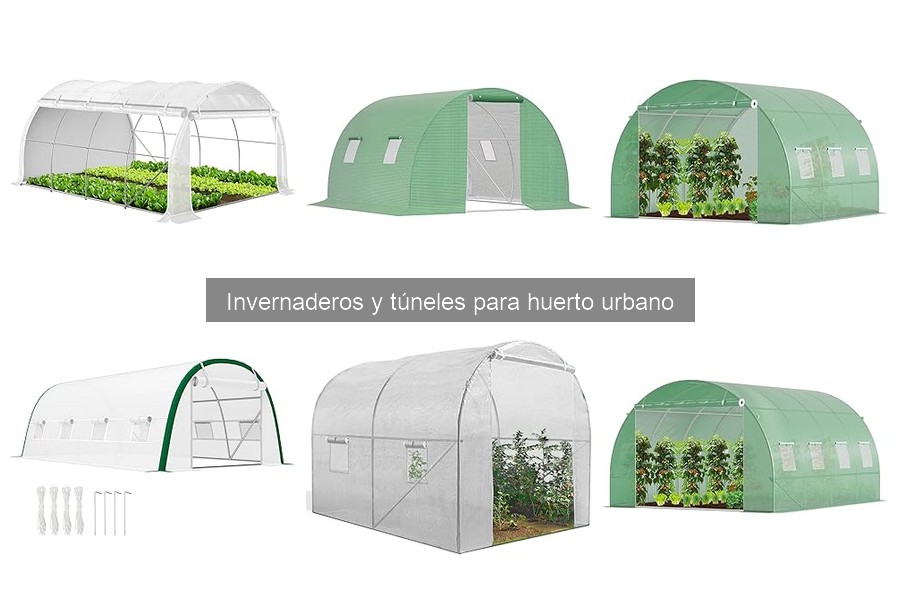 ¿Qué es un invernadero y cómo funciona? Guía para huertos