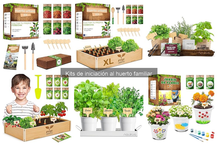 ¿Qué es un kit de iniciación al huerto familiar?