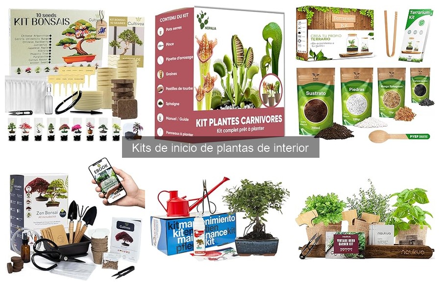 ¿Qué es un kit de inicio de plantas de interior?
