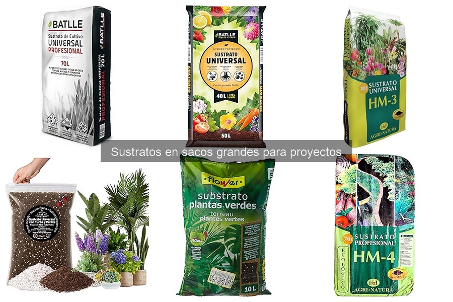 ¿Qué es un sustrato para jardinería? Definición y componentes