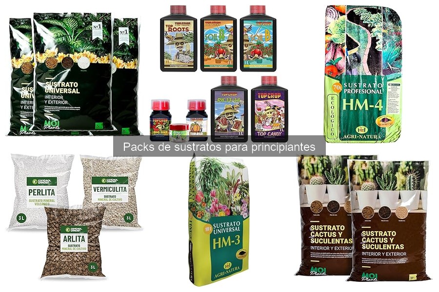 ¿Qué es un sustrato y su importancia en el cultivo?