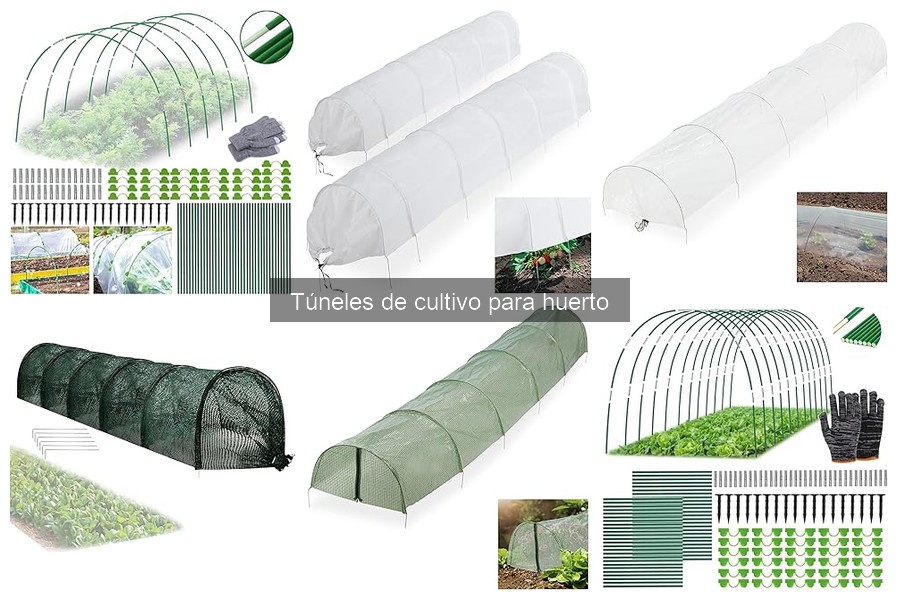 ¿Qué es un túnel de cultivo y cómo funcionan?