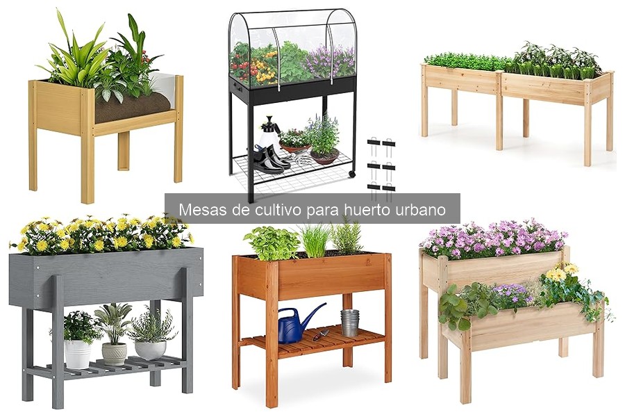 Qué es una mesa de cultivo: Guía para principiantes