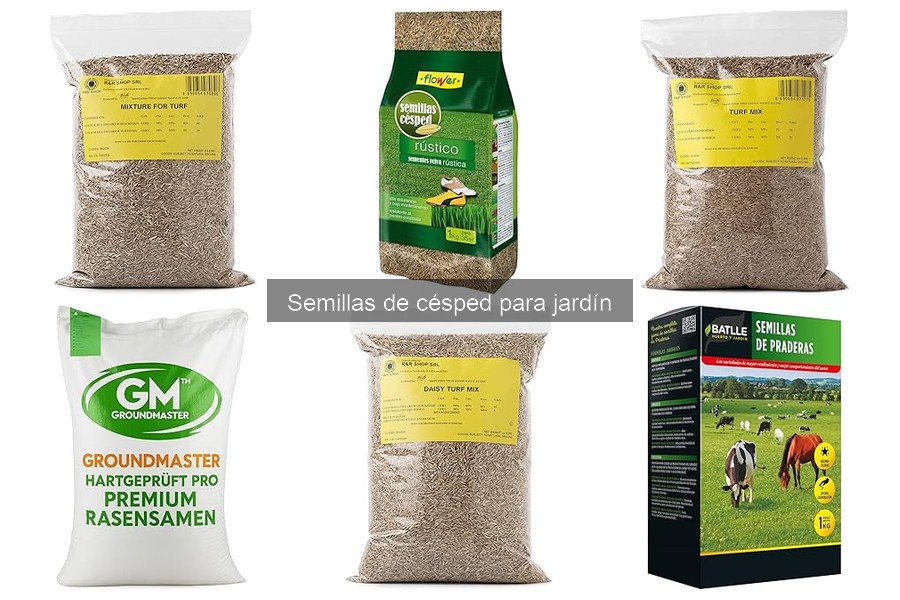 ¿Qué hacer si el césped no germina? Soluciones efectivas