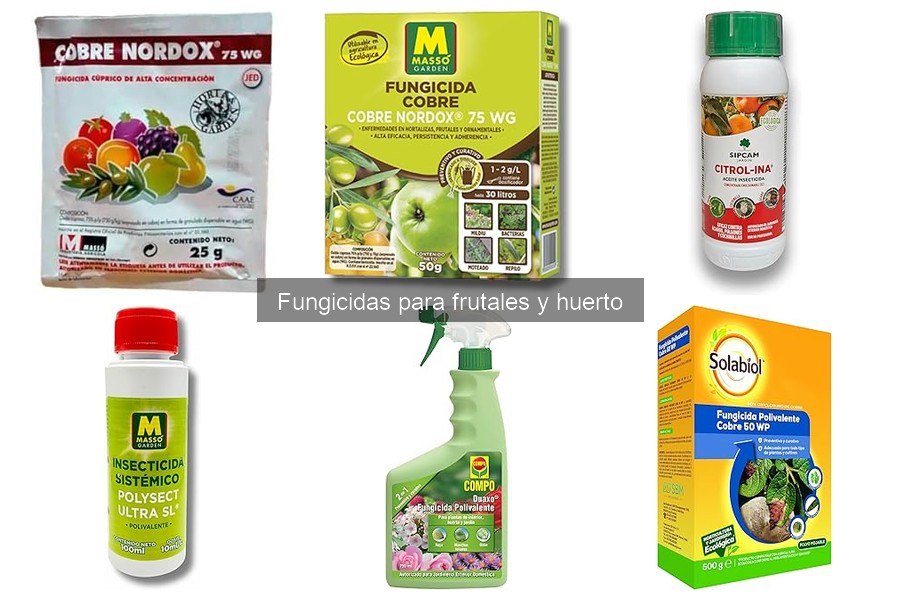 ¿Qué hacer si el fungicida no funciona? | Guía de Soluciones