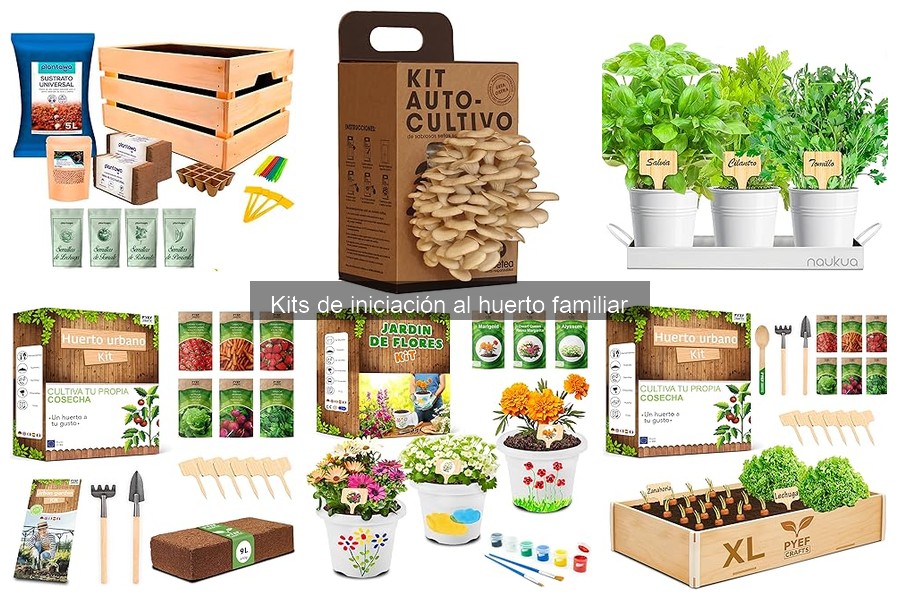 ¿Qué incluir en un kit de iniciación al huerto casero?