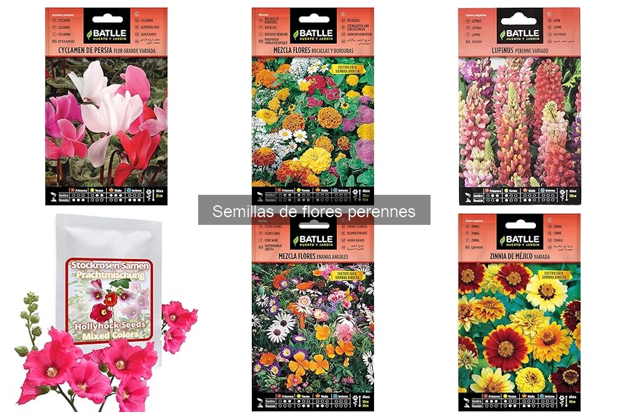 ¿Qué son las semillas de flores perennes? Características y uso