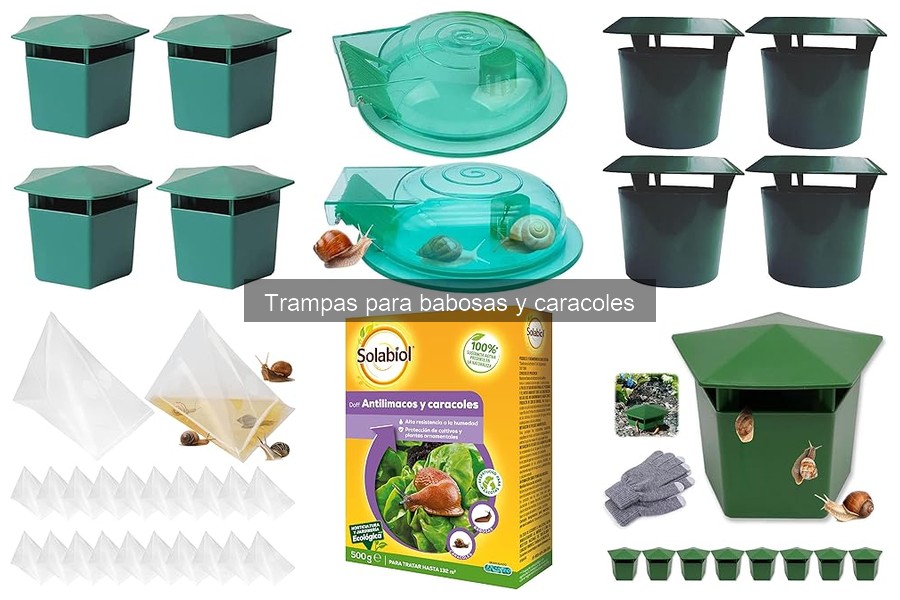 ¿Qué son las trampas para babosas y caracoles?