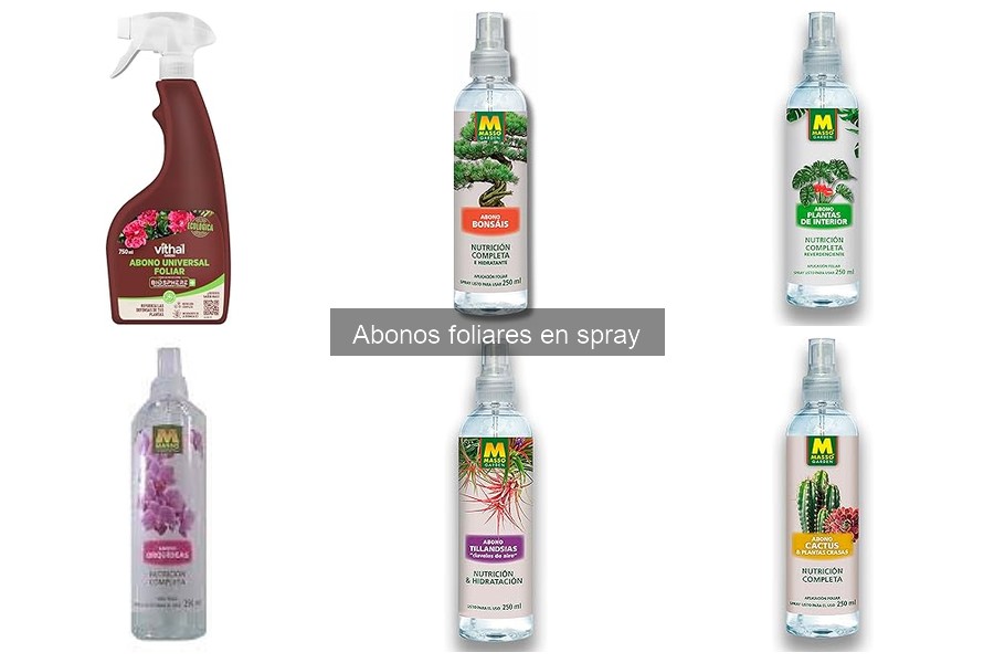 ¿Qué son los abonos foliares en spray? Descubre sus beneficios