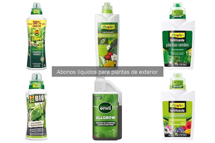 ¿Qué son los abonos líquidos para plantas de exterior?
