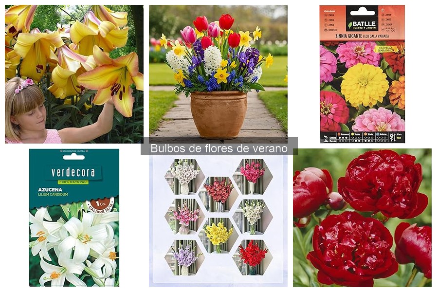 ¿Qué son los bulbos de flores de verano? Guía completa
