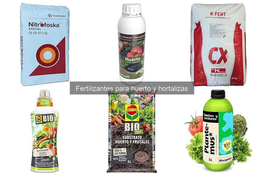 ¿Qué son los fertilizantes para huerto y hortalizas?