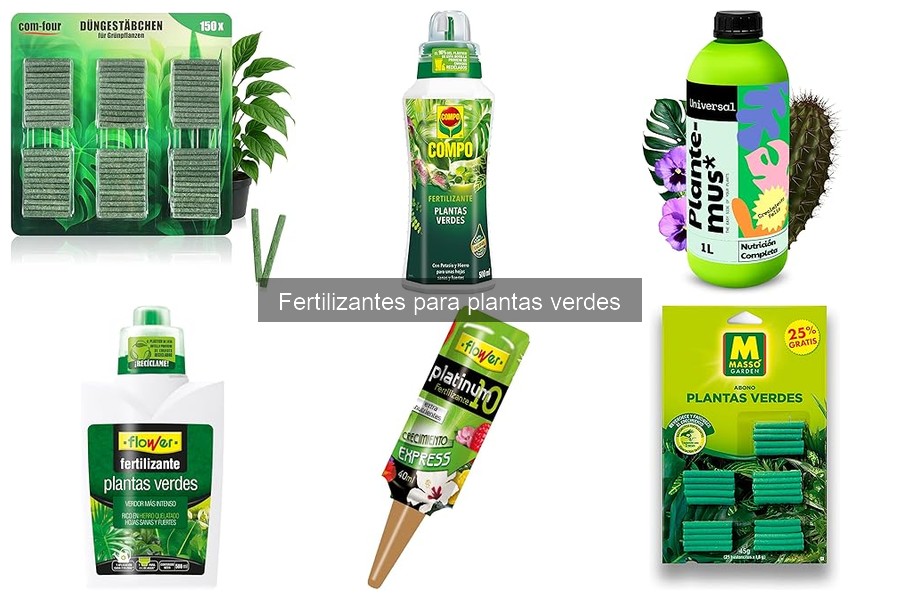 ¿Qué son los fertilizantes para plantas verdes? Guía completa