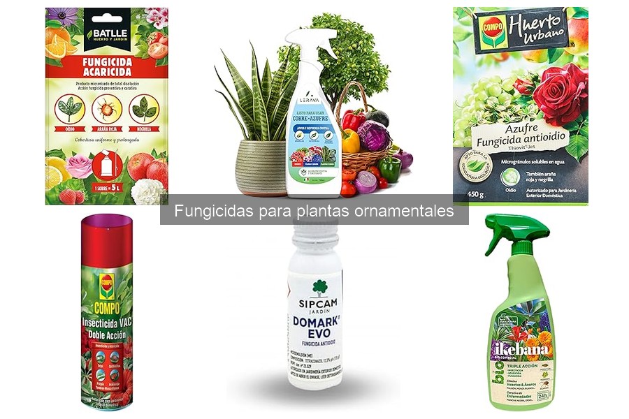 Qué son los fungicidas para plantas ornamentales y cómo usarlos