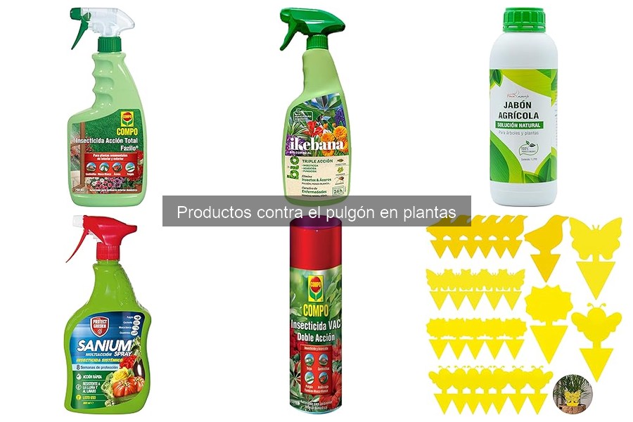 ¿Qué son los pulgones y cómo afectan a tus plantas?