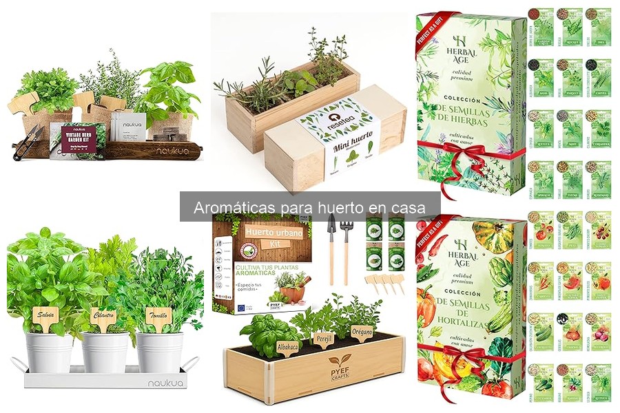 Recetas fáciles con hierbas aromáticas de tu huerto en casa