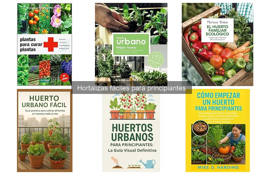 Requisitos de luz y agua para hortalizas fáciles