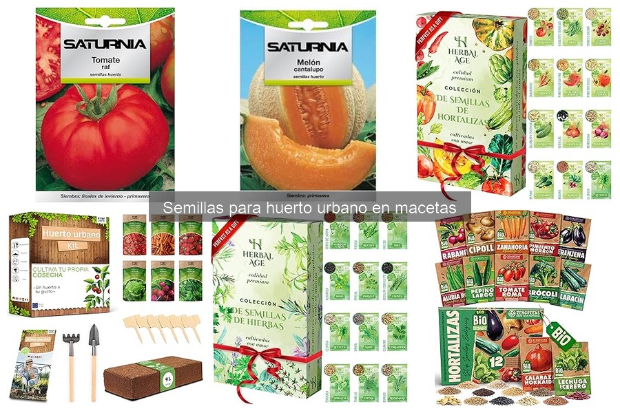 Semillas de crecimiento rápido para huerto en macetas