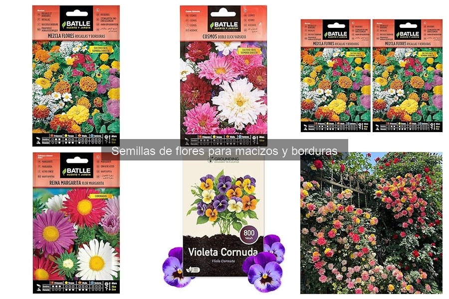 Semillas de flores comestibles para tu jardín doméstico