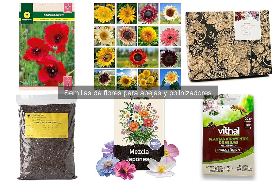 Semillas de flores para abejas: ¿Qué son y su importancia?