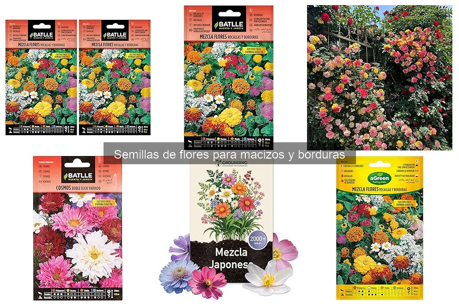 Semillas de flores para macizos y borduras: ¿Qué son?