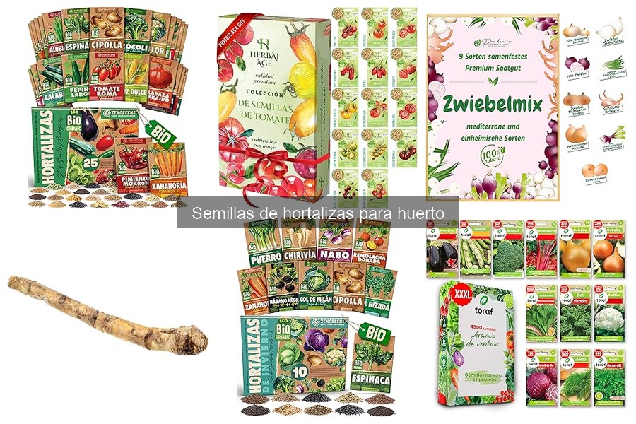 Semillas de Hortalizas: Las Más Fáciles de Cultivar para Principiantes