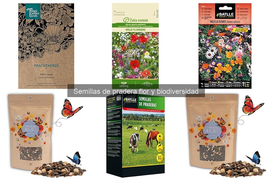 Semillas de pradera floral: beneficios y características