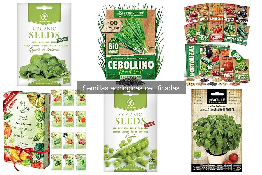 Semillas Ecológicas Certificadas: ¿Qué Son y Sus Ventajas?