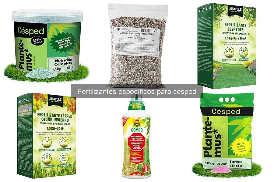 Señales de que el césped necesita fertilización | Jardinería