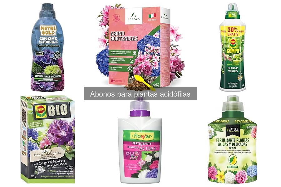 Señales de que tu planta acidófila necesita abono