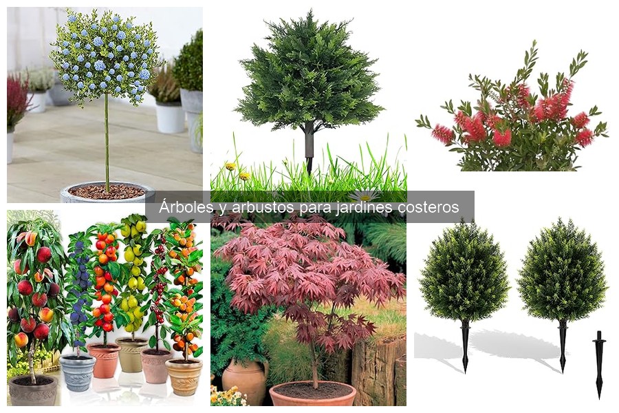 Soluciones para la salinidad en el suelo de árboles costeros