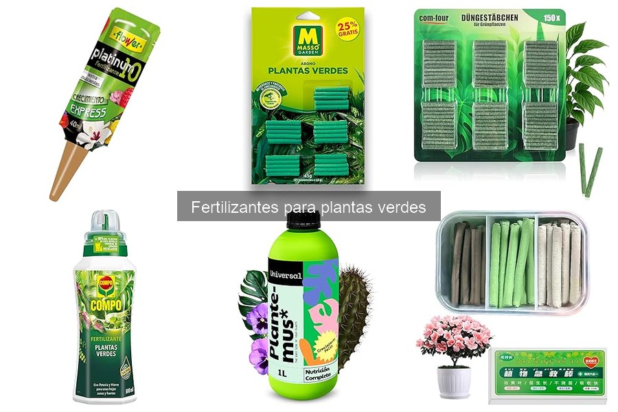 Soluciones si tus plantas verdes no responden al fertilizante