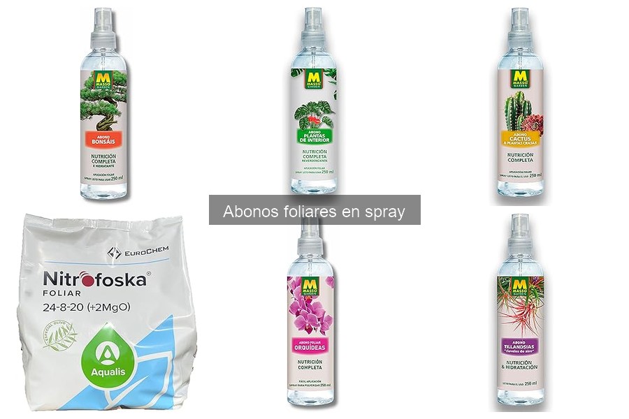 ¿Son seguros los abonos foliares en spray para tus plantas?