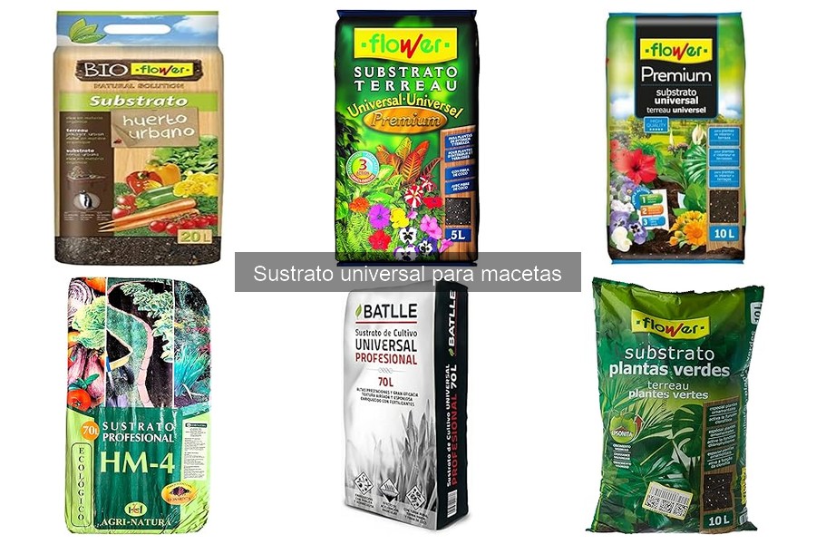 Sustrato Universal vs. Sustrato Específico: ¿Cuál Elegir?