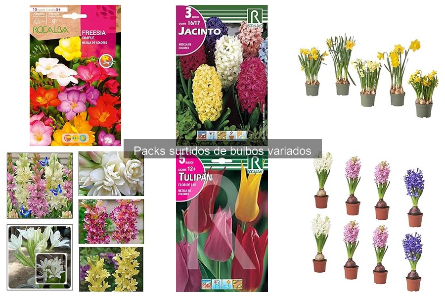 Temporada ideal para plantar bulbos variados en tu jardín