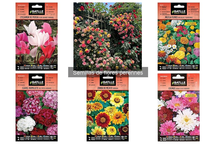 Testimonios de Jardineros sobre Flores Perennes