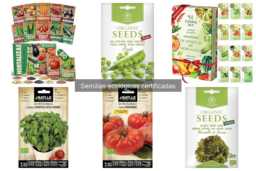 Testimonios de usuarios sobre semillas ecológicas certificadas