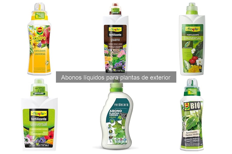 Tipos de abonos líquidos para plantas de exterior