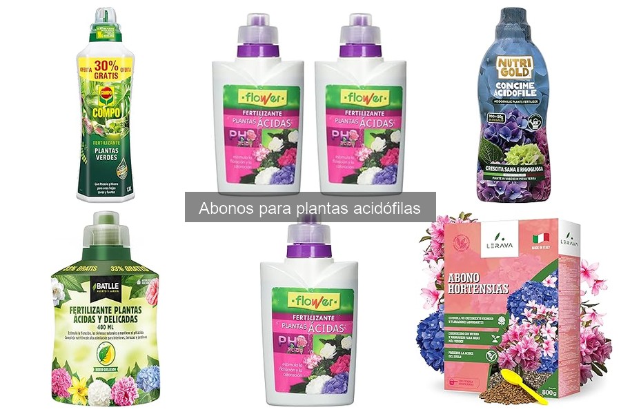Tipos de abonos para plantas acidófilas: guía completa