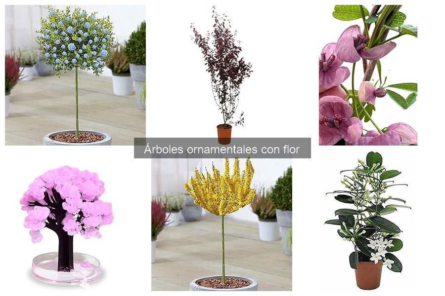 Tipos de árboles ornamentales con flor para jardines pequeños