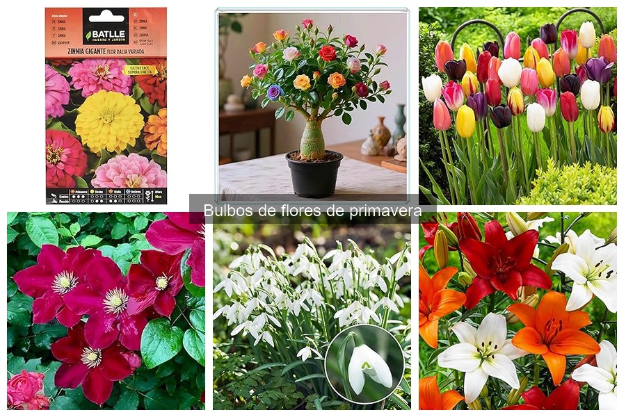Tipos de bulbos de flores de primavera: guía completa