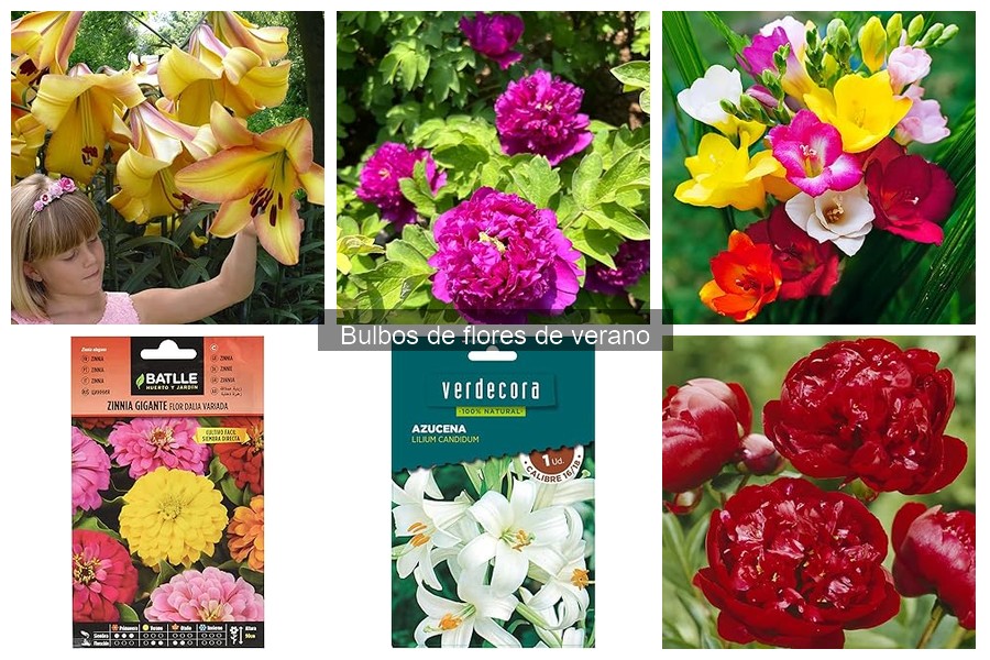 Tipos de bulbos de flores de verano: descubre sus variedades