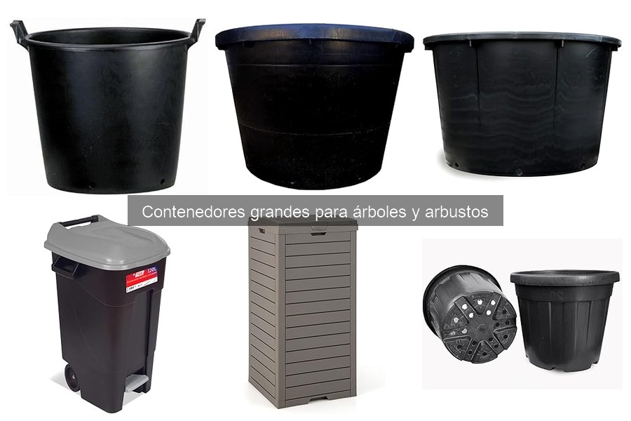 Tipos de contenedores para árboles y arbustos en jardinería