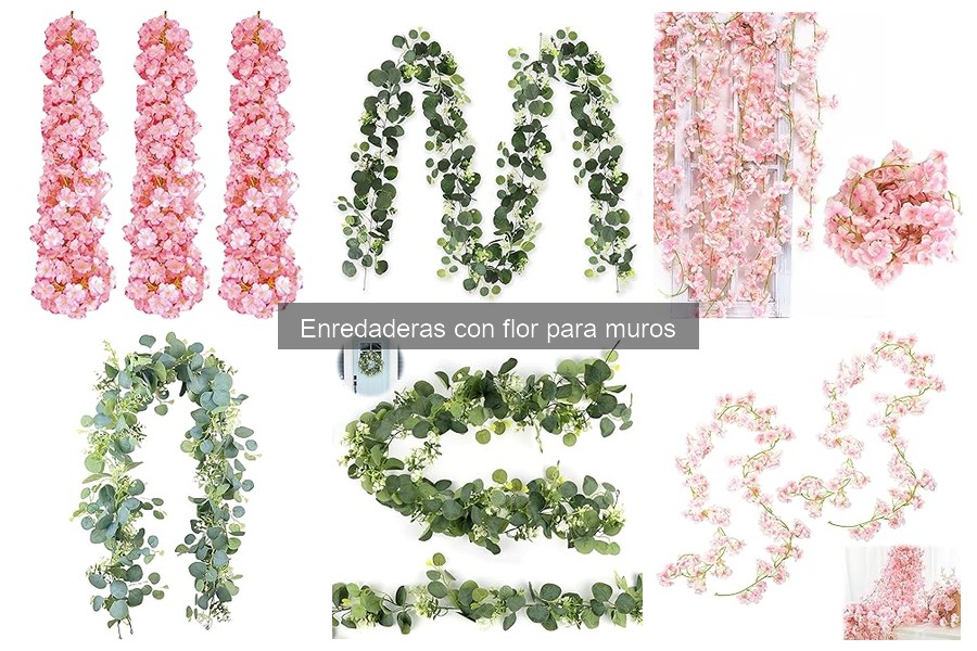 Tipos de enredaderas con flor para muros: guía completa