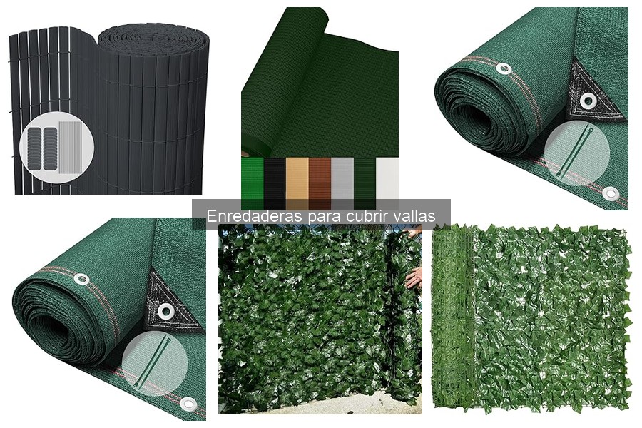 Tipos de enredaderas ideales para cubrir vallas en tu jardín