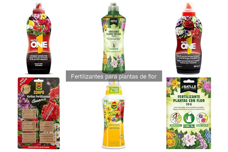 Tipos de fertilizantes para plantas de flor: guía completa
